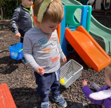 Backyard Playground Adventures Backyard Playground Adventures